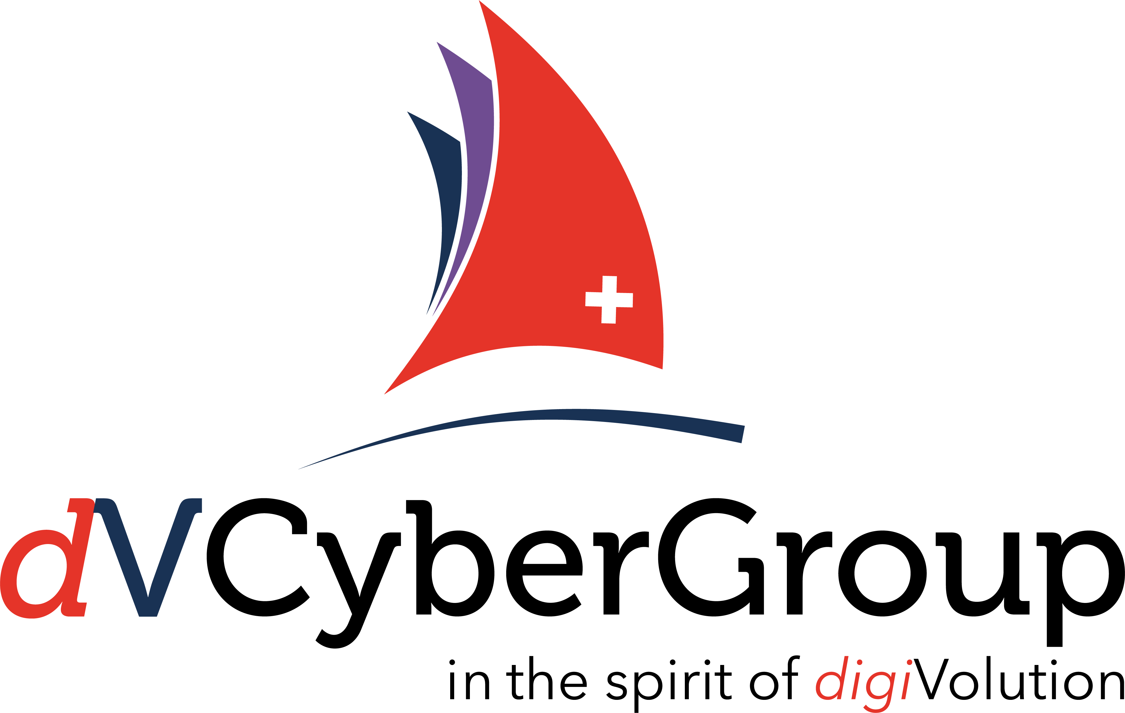 DV Cyber Group